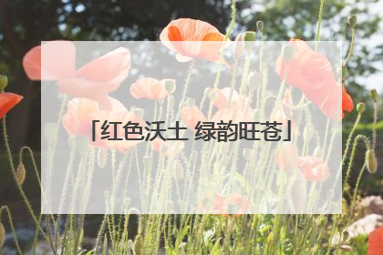 红色沃土 绿韵旺苍