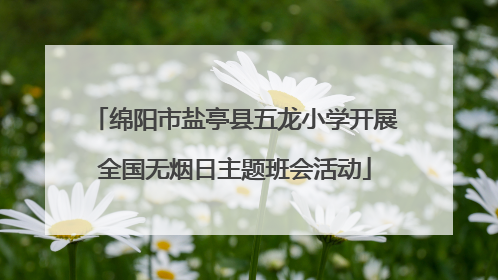 绵阳市盐亭县五龙小学开展全国无烟日主题班会活动