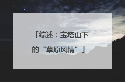 综述：宝塔山下的“草原风情”