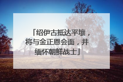 绍伊古抵达平壤，将与金正恩会面，并缅怀朝鲜战士