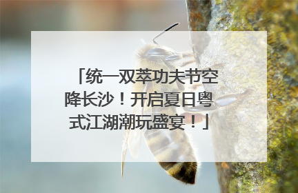 统一双萃功夫节空降长沙！开启夏日粤式江湖潮玩盛宴！