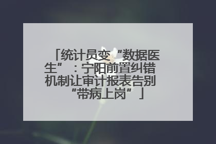 统计员变“数据医生”：宁阳前置纠错机制让审计报表告别“带病上岗”