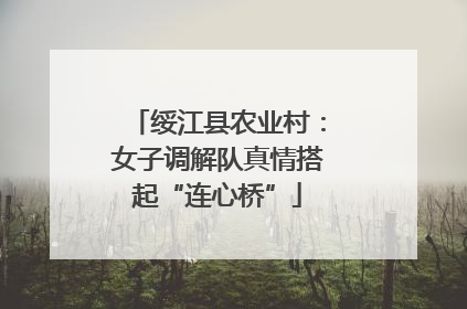 绥江县农业村：女子调解队真情搭起“连心桥”