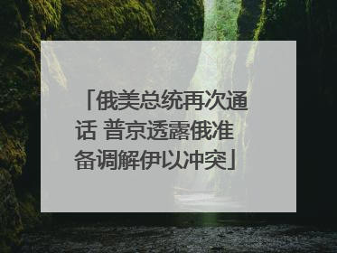 俄美总统再次通话 普京透露俄准备调解伊以冲突