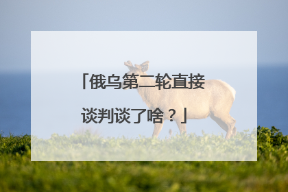 俄乌第二轮直接谈判谈了啥？
