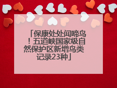 保康处处闻啼鸟！五道峡国家级自然保护区新增鸟类记录23种