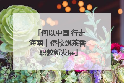 何以中国·行走海南｜侨校飘茶香 职教新发展