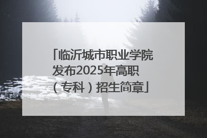 临沂城市职业学院发布2025年高职（专科）招生简章