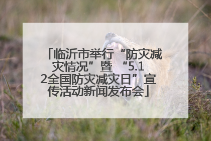 临沂市举行“防灾减灾情况”暨 “5.12全国防灾减灾日”宣传活动新闻发布会