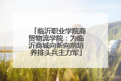 临沂职业学院商贸物流学院：为临沂商城向新向前培养排头兵主力军