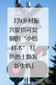 为乡村振兴提供可复制的“小悟样本” 红色热土焕发新生机