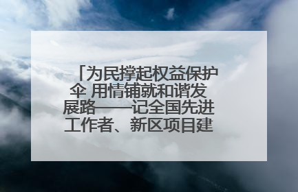 为民撑起权益保护伞 用情铺就和谐发展路——记全国先进工作者、新区项目建设中心干部卢小勇