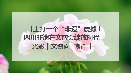 主打一个“非遗”震撼！四川非遗在文博会绽放时代光彩｜文博向“新”