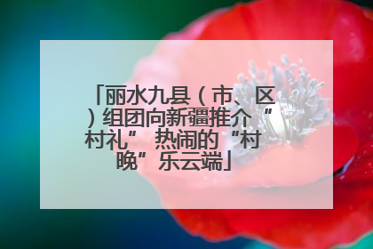 丽水九县（市、区）组团向新疆推介“村礼” 热闹的“村晚”乐云端