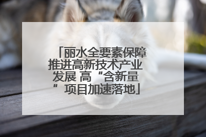 丽水全要素保障推进高新技术产业发展 高“含新量”项目加速落地