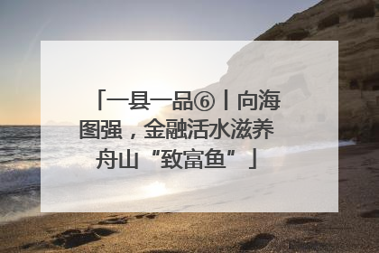 一县一品⑥丨向海图强，金融活水滋养舟山“致富鱼”