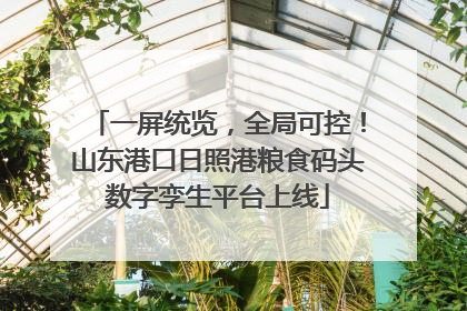 一屏统览，全局可控！山东港口日照港粮食码头数字孪生平台上线