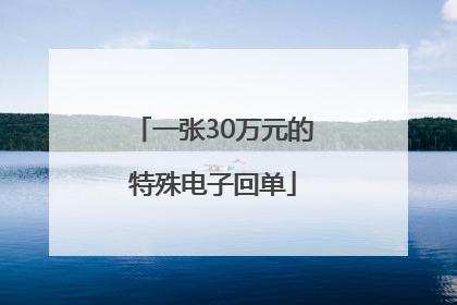 一张30万元的特殊电子回单