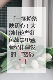 一捆粉条映初心！大别山这些红色故事里藏着纪律建设的 “密码”