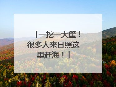 一挖一大筐！很多人来日照这里赶海！