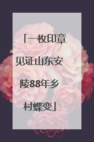 一枚印章见证山东安陵88年乡村蝶变