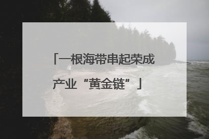 一根海带串起荣成产业“黄金链”