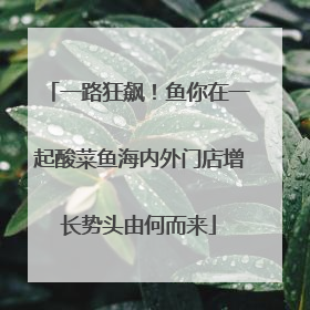 一路狂飙！鱼你在一起酸菜鱼海内外门店增长势头由何而来