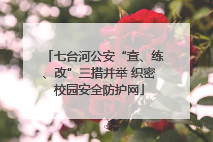 七台河公安“查、练、改”三措并举 织密校园安全防护网