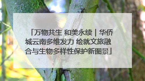 万物共生 和美永续｜华侨城云南多维发力 绘就文旅融合与生物多样性保护新图景