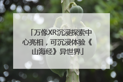 万像XR沉浸探索中心亮相，可沉浸体验《山海经》异世界