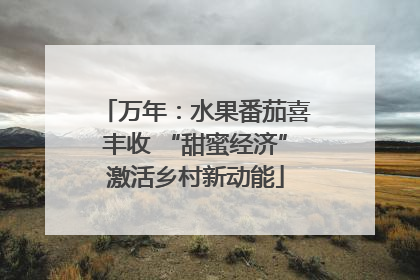 万年：水果番茄喜丰收 “甜蜜经济”激活乡村新动能