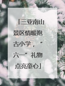 三亚南山景区情暖抱古小学，“六一”礼物点亮童心