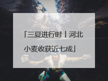 三夏进行时丨河北小麦收获近七成