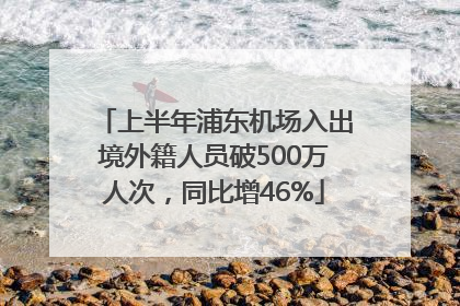 上半年浦东机场入出境外籍人员破500万人次，同比增46%