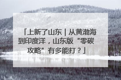 上新了山东｜从黄渤海到印度洋，山东版“零碳攻略”有多能打？
