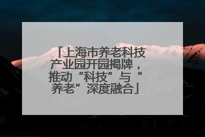 上海市养老科技产业园开园揭牌，推动“科技”与“养老”深度融合