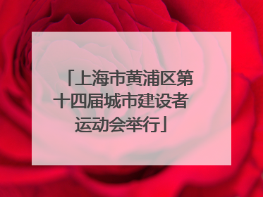 上海市黄浦区第十四届城市建设者运动会举行