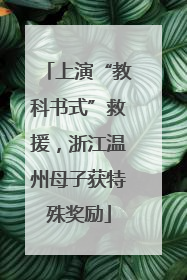 上演“教科书式”救援，浙江温州母子获特殊奖励