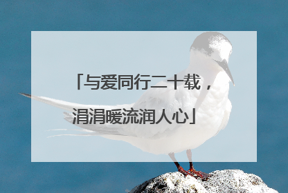 与爱同行二十载，涓涓暖流润人心