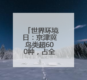 世界环境日：京津冀鸟类超600种，占全国近四成