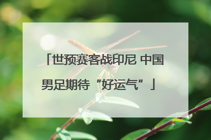 世预赛客战印尼 中国男足期待“好运气”