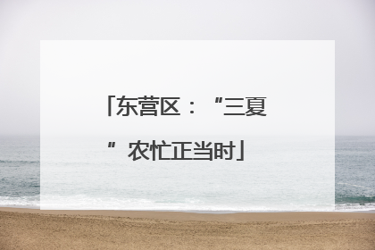 东营区：“三夏”农忙正当时