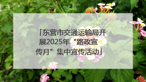 东营市交通运输局开展2025年“路政宣传月”集中宣传活动