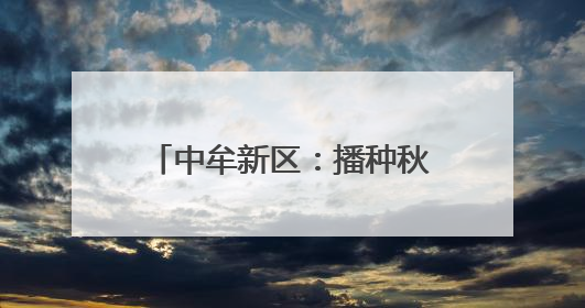 中牟新区：播种秋作物53万余亩 科技赋能丰收在望