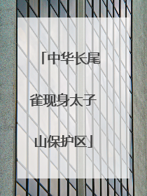 中华长尾雀现身太子山保护区