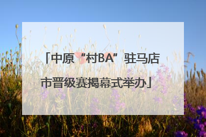 中原“村BA”驻马店市晋级赛揭幕式举办