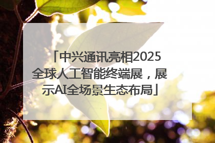 中兴通讯亮相2025全球人工智能终端展，展示AI全场景生态布局