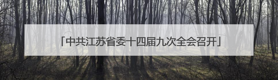 中共江苏省委十四届九次全会召开