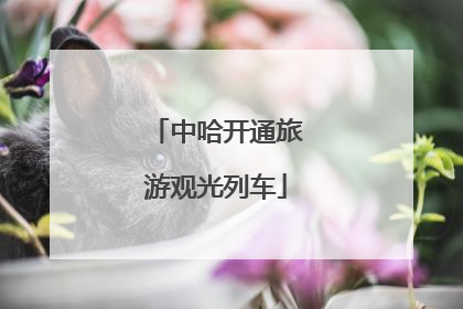 中哈开通旅游观光列车