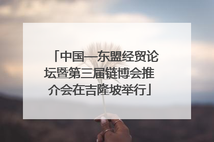 中国—东盟经贸论坛暨第三届链博会推介会在吉隆坡举行